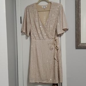 She + Sky Hollywood glam sequin wrap dress